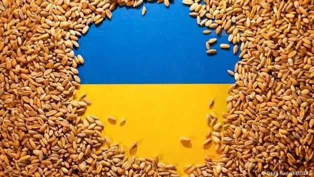 Amid farmers' protests, the EU plans to step up inspections of Ukrainian grain