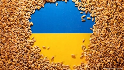 На тлі фермерських протестів ЄС планує посилити перевірки українського зерна