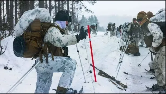 finlyandiya-prisoedinilas-k-sovmestnim-oboronnim-ucheniyam-nato-kak-chlen-alyansa