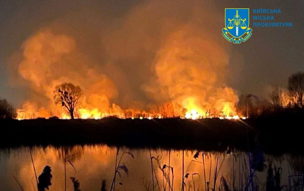 Fire in the Osokorky Ecopark: law enforcement officers open criminal proceedings