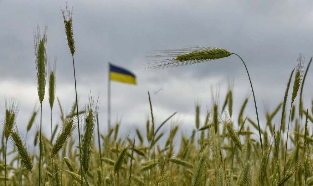 Lithuania suspects that Russia is selling grain from the occupied territories of Ukraine through Baltic ports