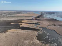 Масштабный пожар на Николаевщине: из-за поджога камыша выгорело 5 га