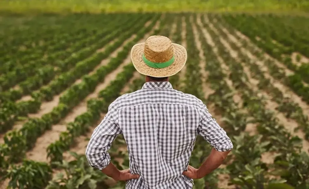 Какие преимущества кредитования дает новый закон "Об аграрных нотах" - Минагро