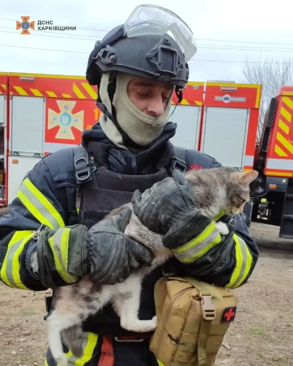 russian-strike-on-vovchansk-rescuers-save-a-cat