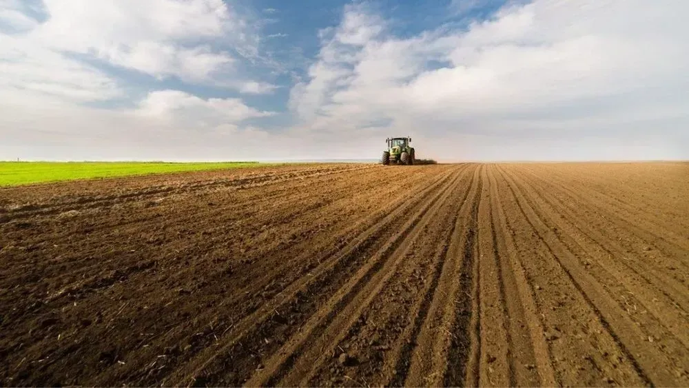 Half of Ukraine's regions have started sowing