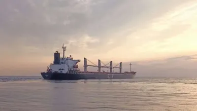 Украинским коридором в Черном море воспользовались уже более тысячи кораблей - посол США
