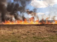 Trying to extinguish dead wood: a man died in Zhytomyr region