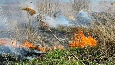 In Chernihiv region, Russians use drones with incendiary mixture - SBGS