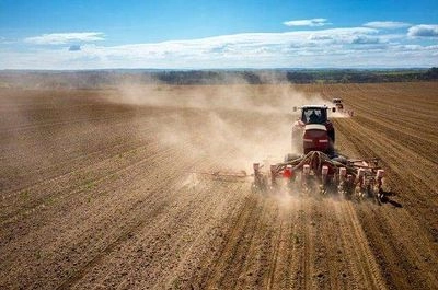 Посівна 2024: аграрії засіяли майже 70 тисяч гектарів ранніх ярих зернових попри війну