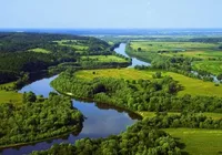 14 марта: Международный день рек, Всемирный день почки
