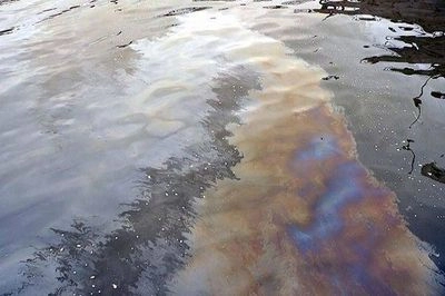 В Киеве обнаружили сброс нефтепродуктов на Богатырском озере: продолжаются работы по очистке