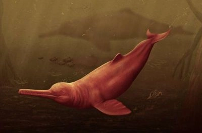 Ученые нашли в Амазонке череп огромного древнего дельфина в Амазонке