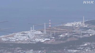 IAEA begins assessment of anti-terrorism measures at nuclear power plant in Niigata, Japan