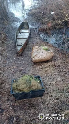Kyiv region police uncover fish poaching: damage to the state exceeds UAH 64,000