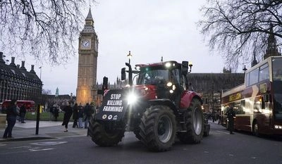 Protest in London: farmers on tractors arrive at Parliament