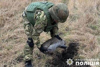 Упала вчера в частном секторе Киева: взрывотехники изъяли боевую часть ракеты