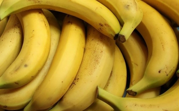 Болгария конфисковала около 170 кг кокаина, которые перевозили в бананах из Эквадора
