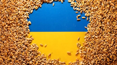 Ukraine may lose millions due to new EU restrictions on agricultural imports - media
