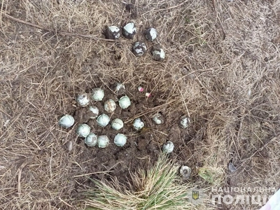 Might attract children's attention: russia mines Ukraine's border with bombs that look like silver balls