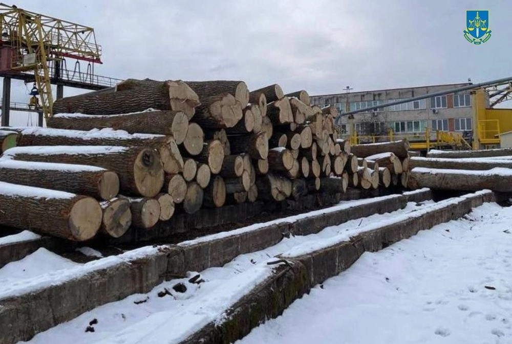 Prosecutor's Office: Suspects in illegal felling of oaks in Chornobyl reserve to be held in custody until trial