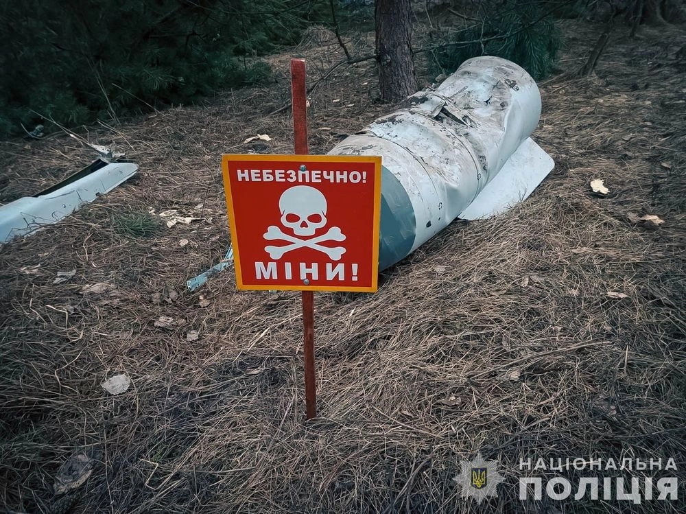 На Сумщине обезвредили авиационную ракету Х-59, которую нашли в лесу