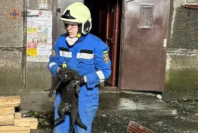 Взрыв в квартире в Белой Церкви: погибли два человека, еще три спасены - ГСЧС