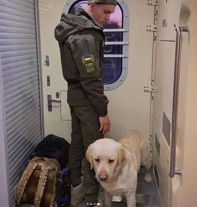 После инцидента с военным Укрзалізниця планирует обновить правила перевозки животных - UAnimals