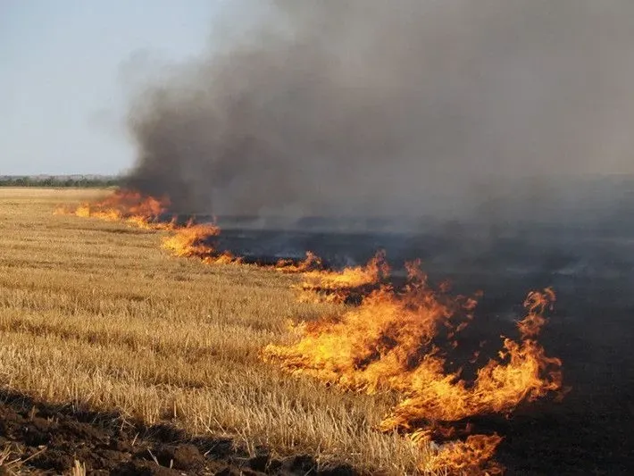 Fainted and fell into the fire: a woman died in Kharkiv region while burning dry grass