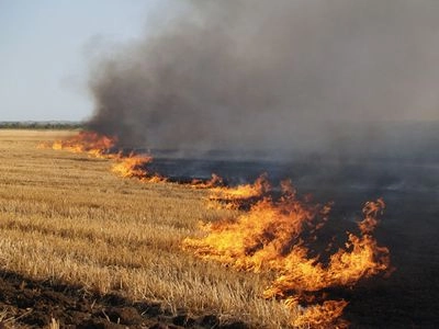 Fainted and fell into the fire: a woman died in Kharkiv region while burning dry grass