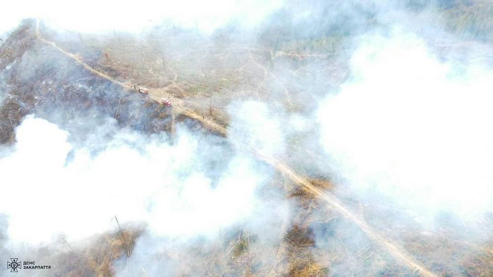 На Закарпатье в лесхозе произошел масштабный пожар: к ликвидации привлекли более 100 спасателей
