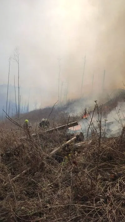 На Закарпатті зросла кількість лісових пожеж, остання - у Лазещинському лісництві  – ОВА 