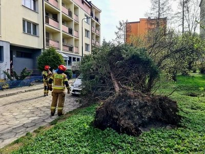 Three adults and two children died in a storm in Poland