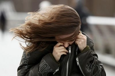 Kyiv residents warned of strong winds tomorrow