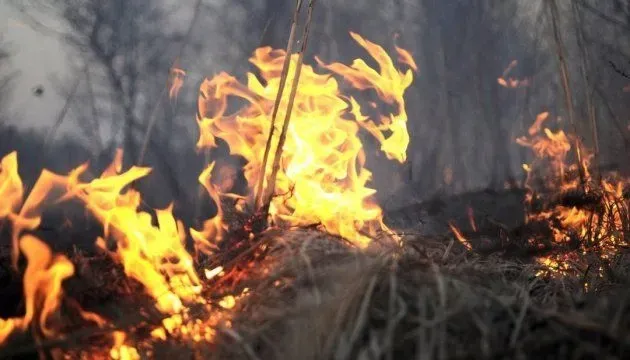 over-the-past-day-454-fires-in-natural-ecosystems-were-recorded-in-ukraine-ses