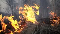 За останню добу в Україні зафіксовано 454 пожежі в природних екосистемах - ДСНС