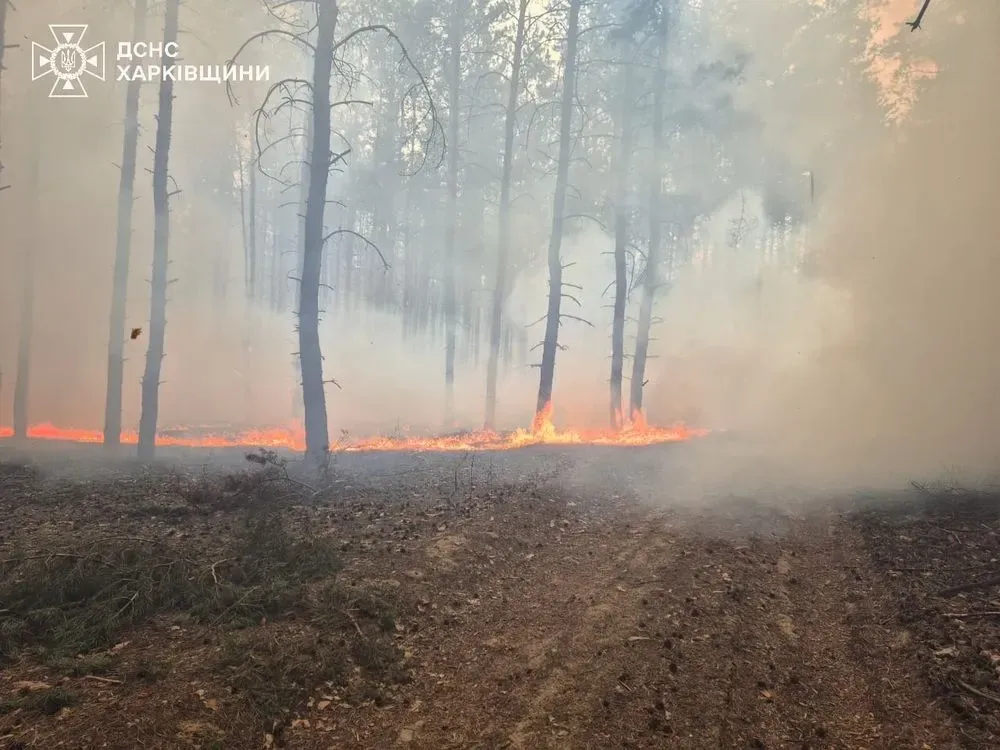 large-scale-forest-fire-started-in-kharkiv-region-because-of-russians