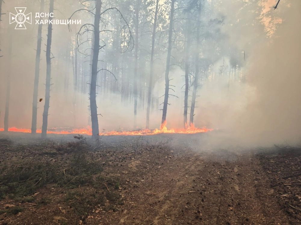 Large-scale forest fire started in Kharkiv region because of russians shelling