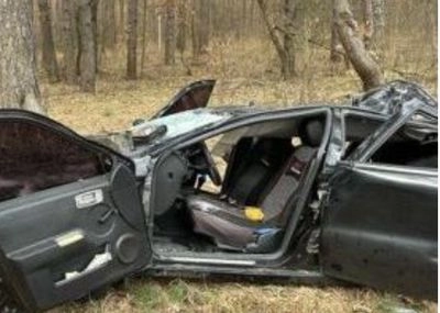 На дороге между селами, на Черниговщине, на машину упало дерево: 2 человека погибли, ведется следствие