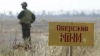 "Це умовно 350 тисяч тонн пшениці": цьогоріч в Україні вже розмінували 74 тис. га сільськогосподарських земель - Мінекономіки