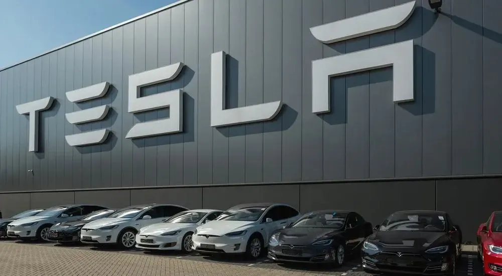 tesla-vidmovliaietsia-vid-planiv-po-stvorenniu-dostupnoho-elektromobilia-perekliuchyvshys-na-robotaksi