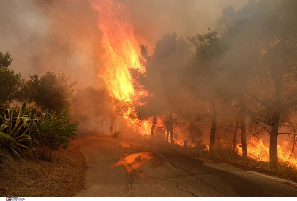 70 forest fires have already been recorded in Greece