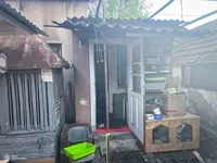 Пожар произошел в приюте для животных в Берегово: погибло 19 котов, 40 животных спасены