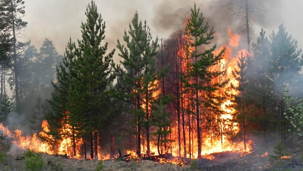 Since April 11, an extraordinary level of fire danger has been declared almost throughout Ukraine
