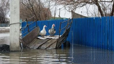 "Найбільше лихо за 80 років": масштабні паводки у Казахстані не відступають