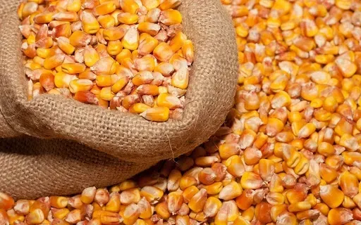 this-year-farmers-from-the-frontline-regions-will-be-able-to-receive-free-corn-seeds-for-the-sowing-season