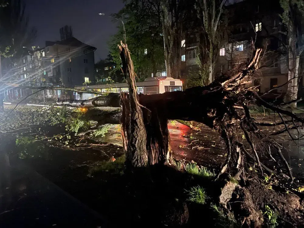 Wind and rain fell trees in Zaporizhzhia, fifty applications received