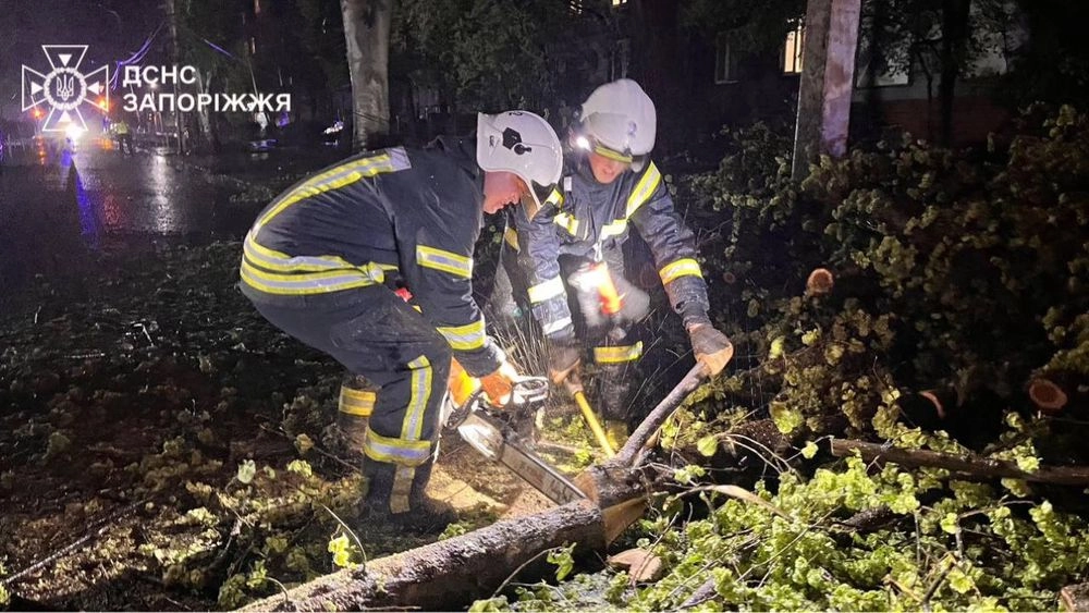 В Запорожье из-за шквального ветра деревья упали на жилой дом