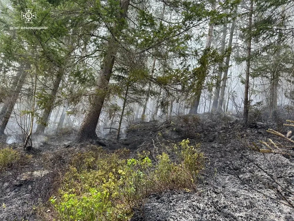 Лісова пожежа сталася на Прикарпатті: її загасили після 5-годинної операції