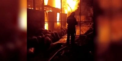 A zoo burned down in Yevpatoria at night: more than 200 animals died
