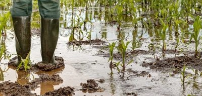 Extreme weather conditions are named the main threat to EU food security in the European Commission's report
